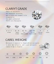 LORIELE Moissanite Diamond Stud Earrings 18K White Gold Plated Silver Flower Eearring for Brilliant Moissanite Party Jewelry